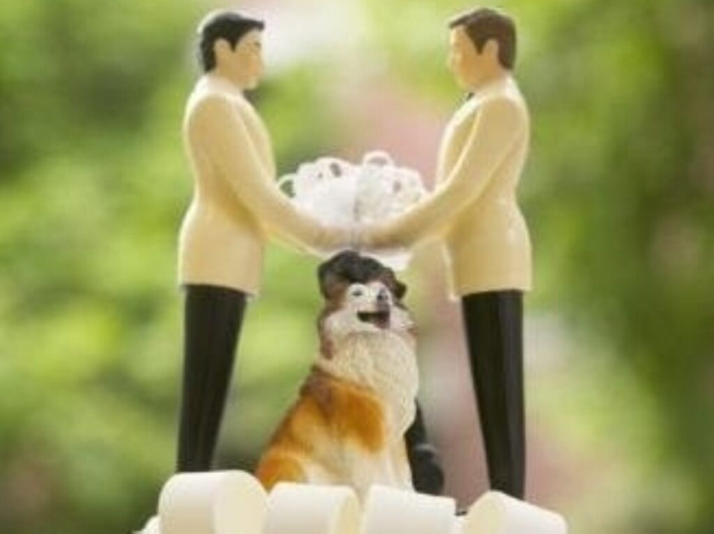 Gay marriage: Lib Dem support could see new law