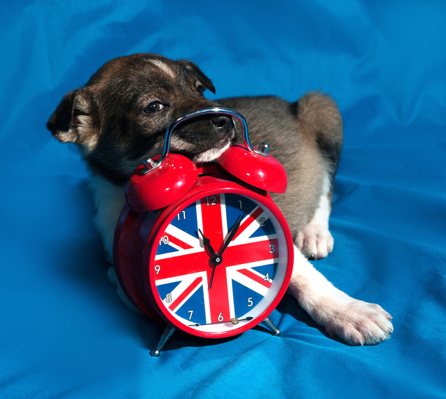 Why Do We have British Summer Time? Is It Needed?