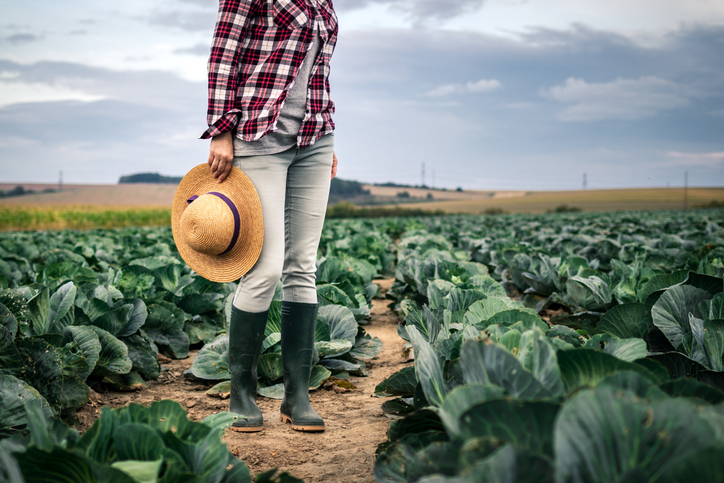 Organic Farming