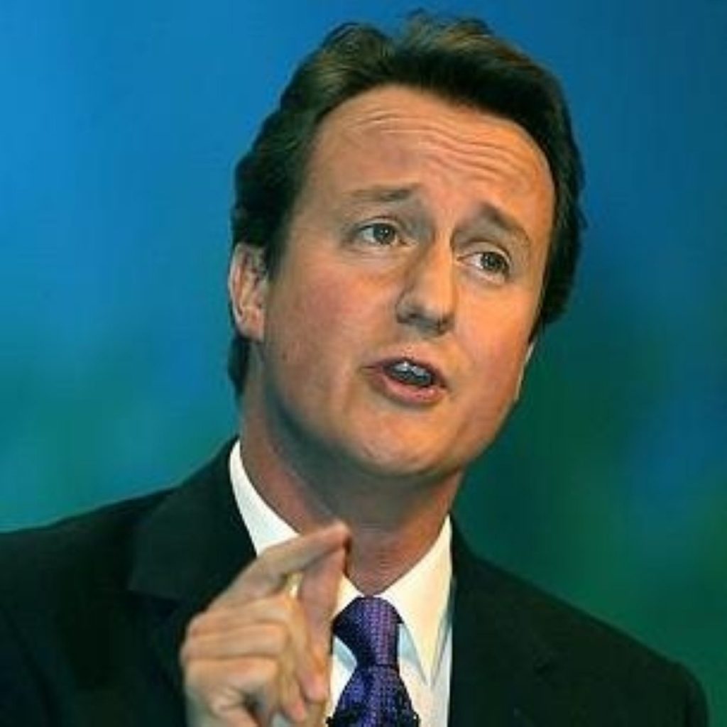 Cameron reaffirms links with business