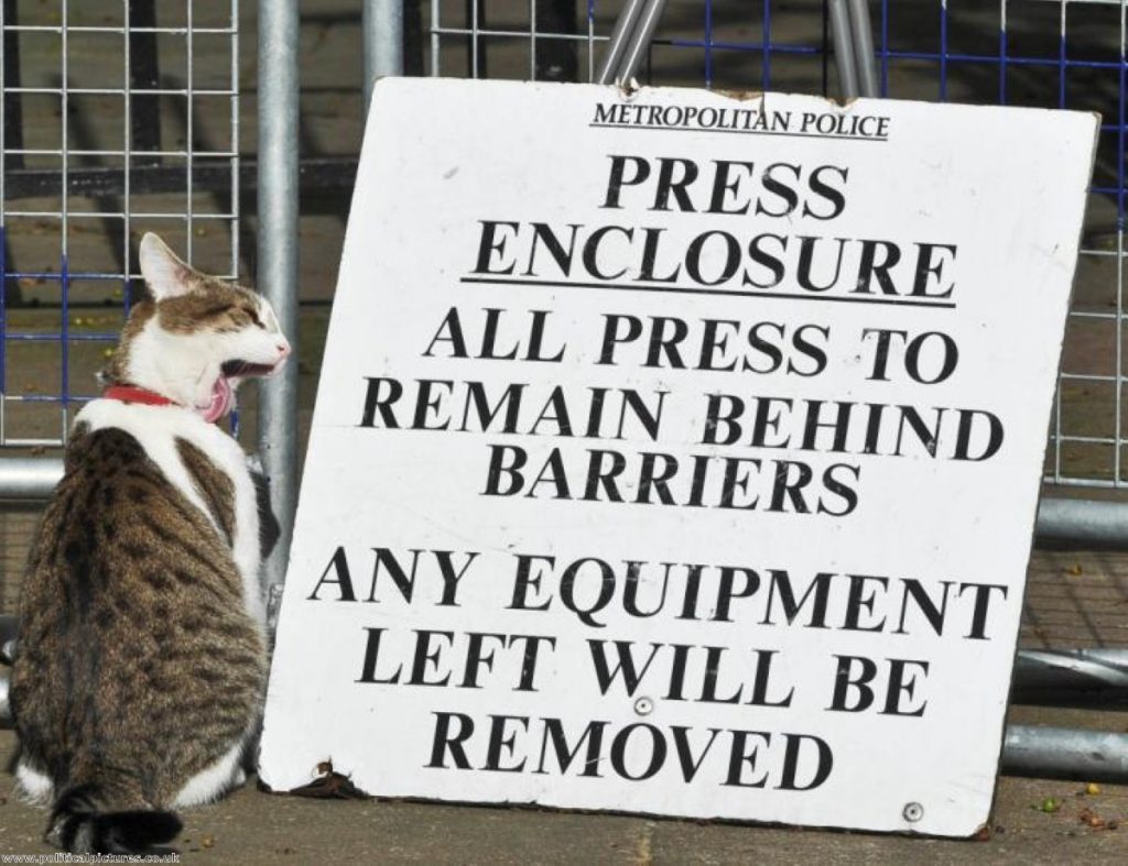 Larry, the prime minister's cat, makes his views on the media clear
