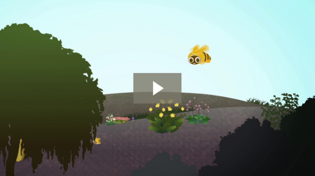 BBKA Animation