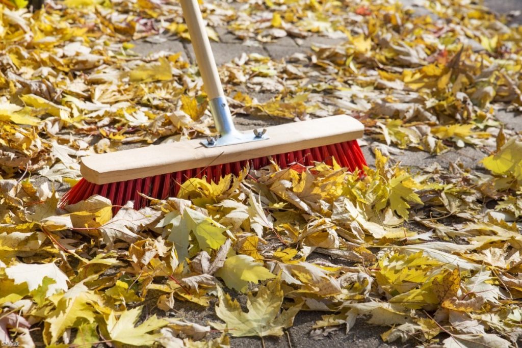 Sweep leaves discount