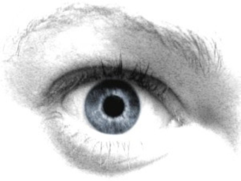 Eye revelation solves ocular puzzle