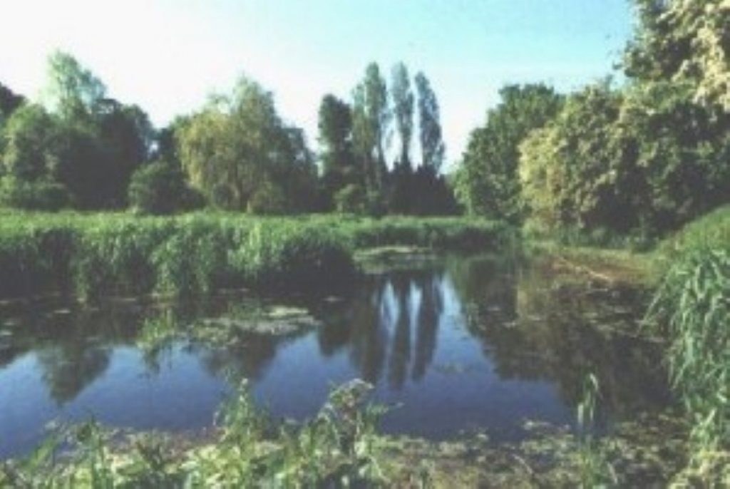 Water extraction threatening UK wetlands