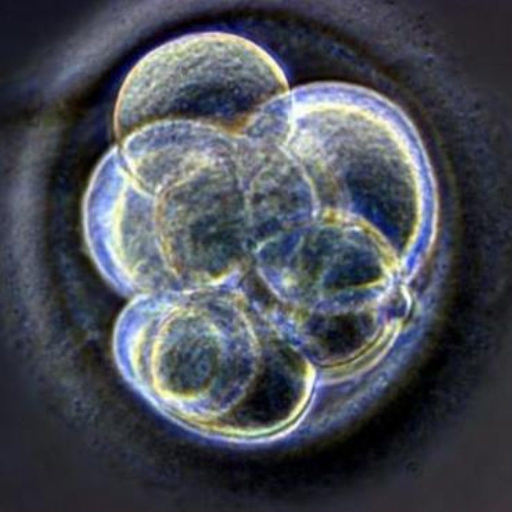 Govt supports research on hybrid embryos