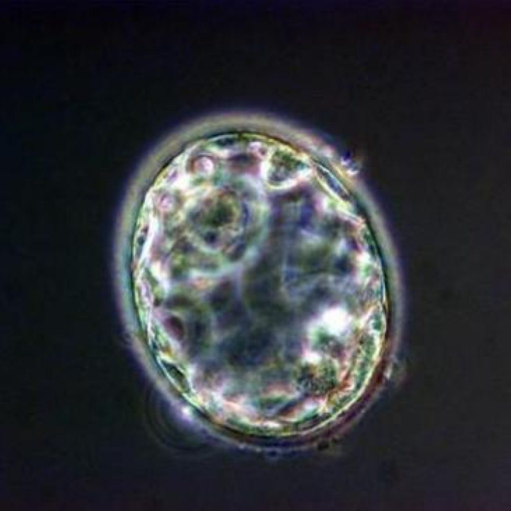 Scientists say hybrid embryos could help research into some diseases