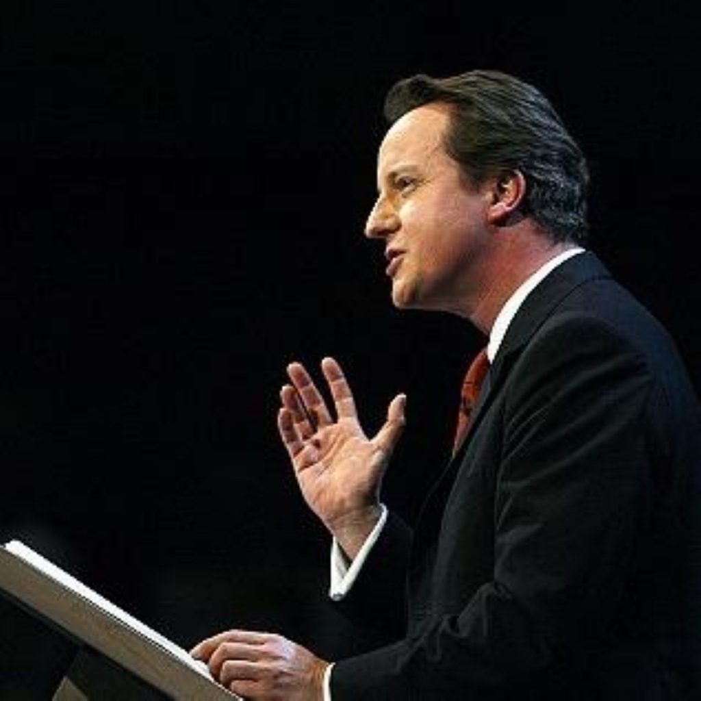 David Cameron wants to make the Conservatives "the party of the NHS"