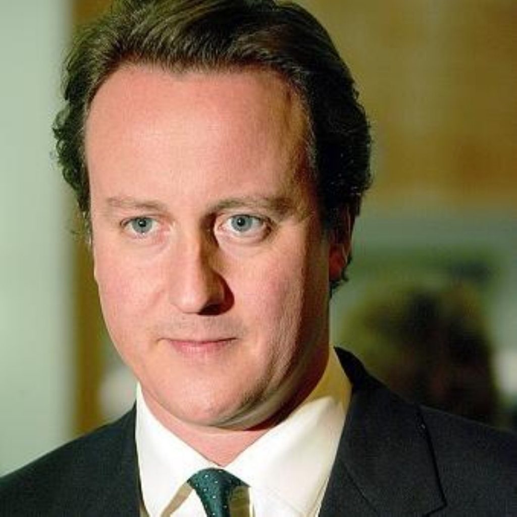 David Cameron is sending Hugh Thomas to investigate MEPs claims