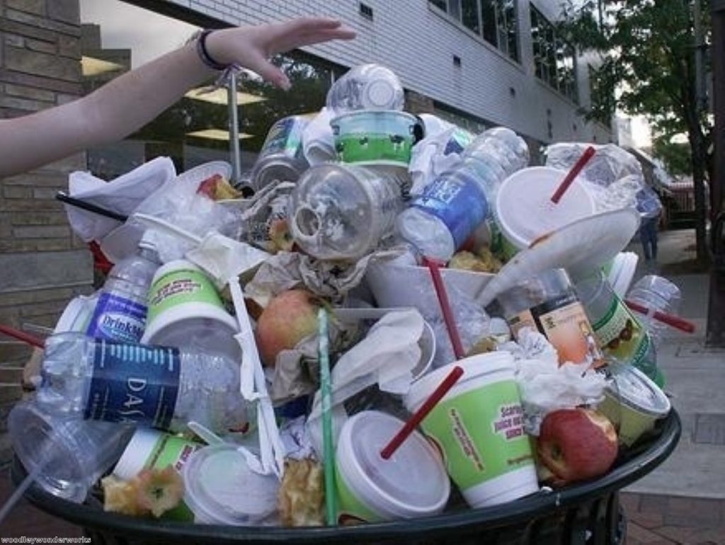 Defra waste strategy a disappointment, MPs say