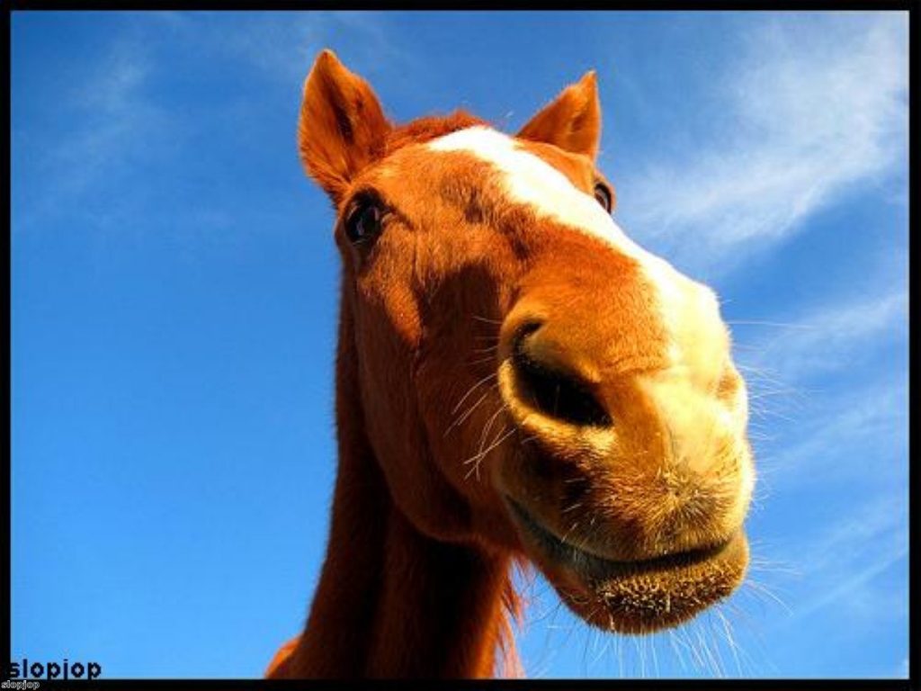 Looking a gift horse in the mouth. We know. That's not even a pun.