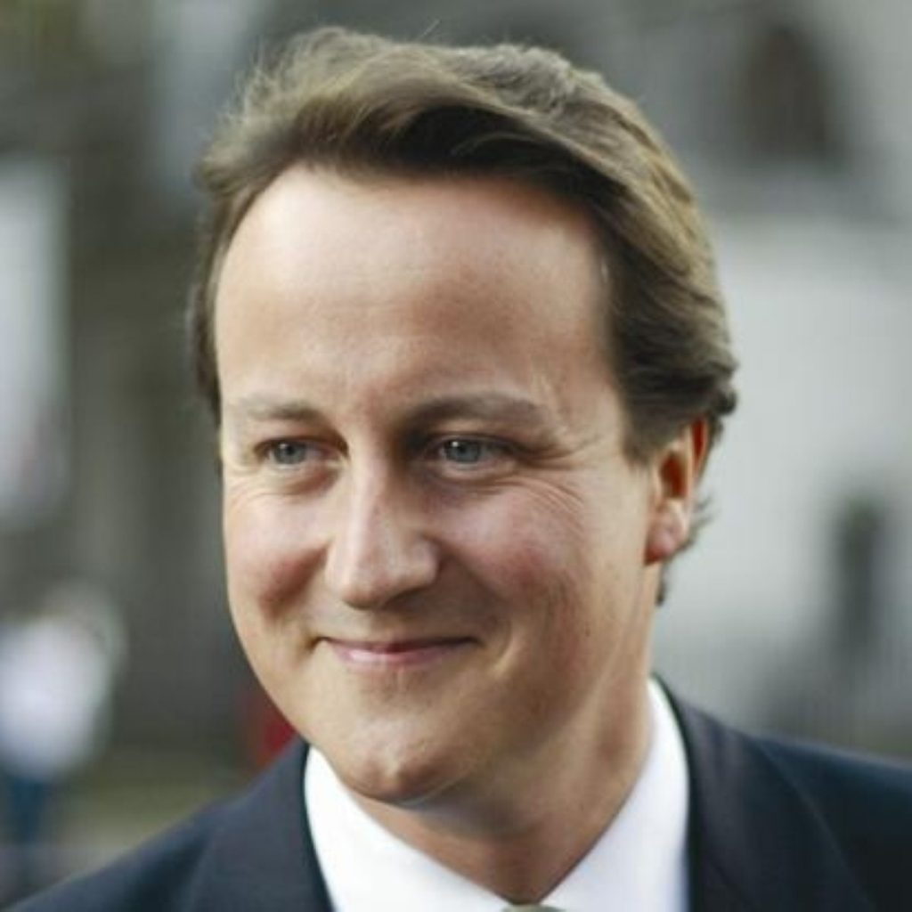 Mr Cameron appears to be among the critics of the election