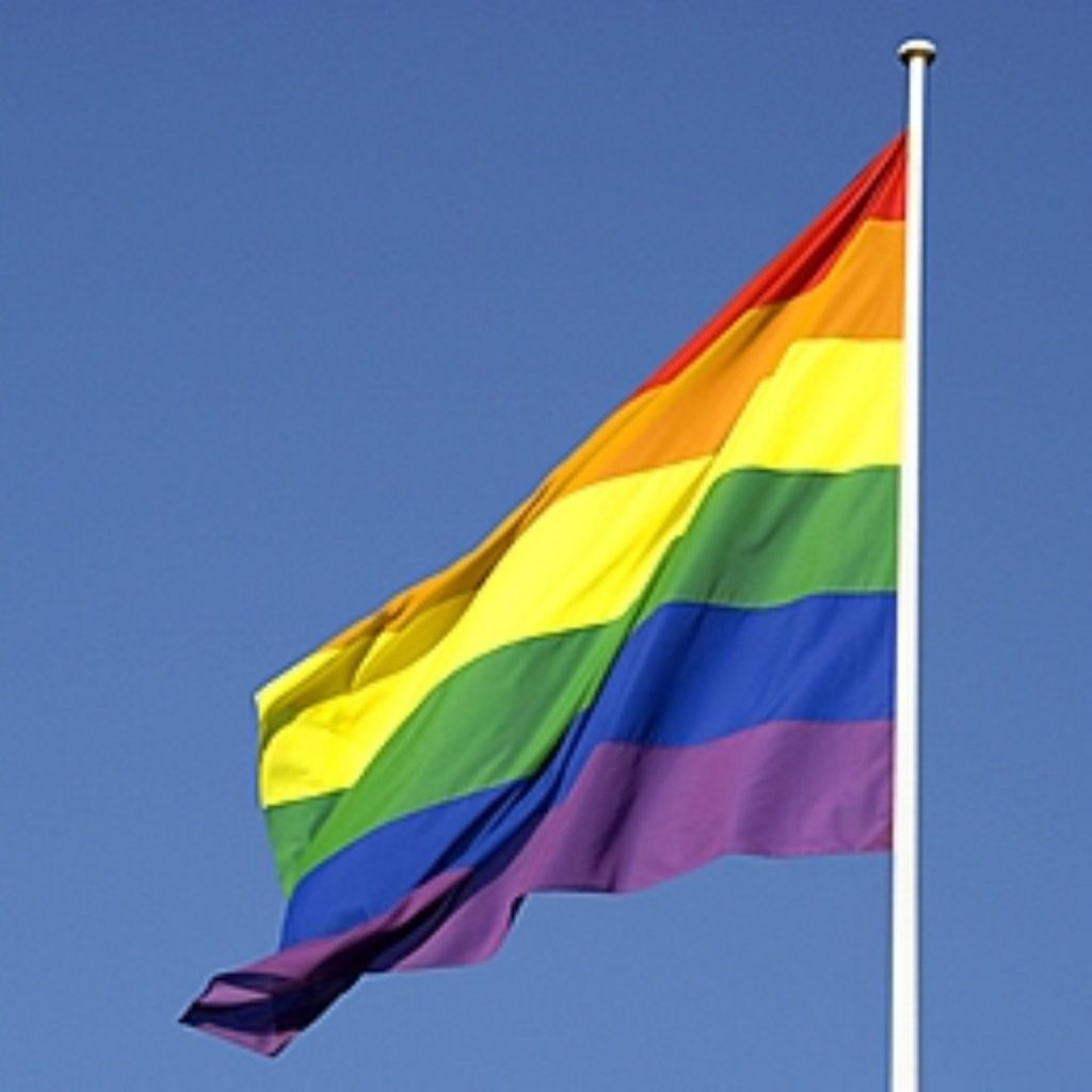 Gay pride: Clegg flies the flag.