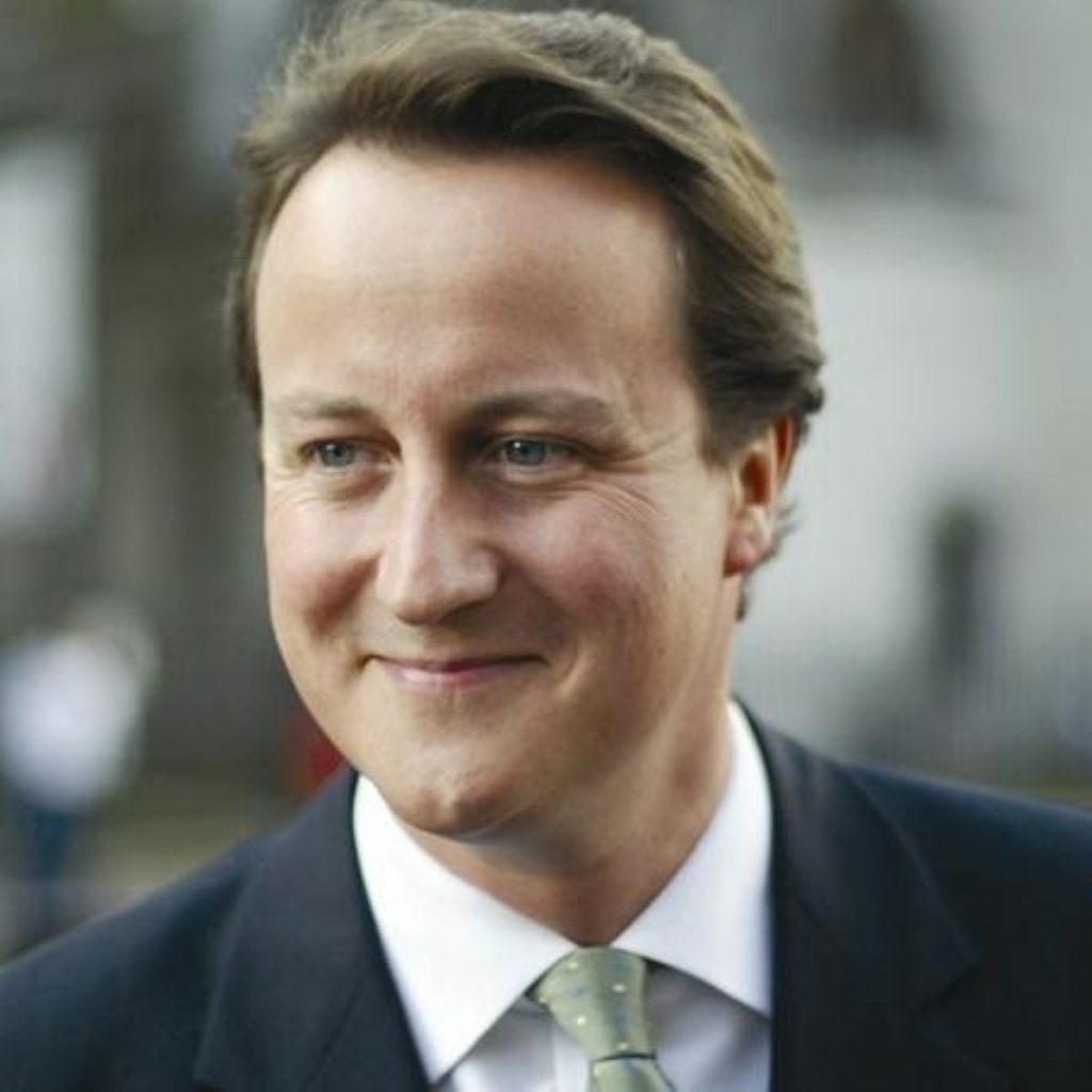 Cameron: Proud of the NHS