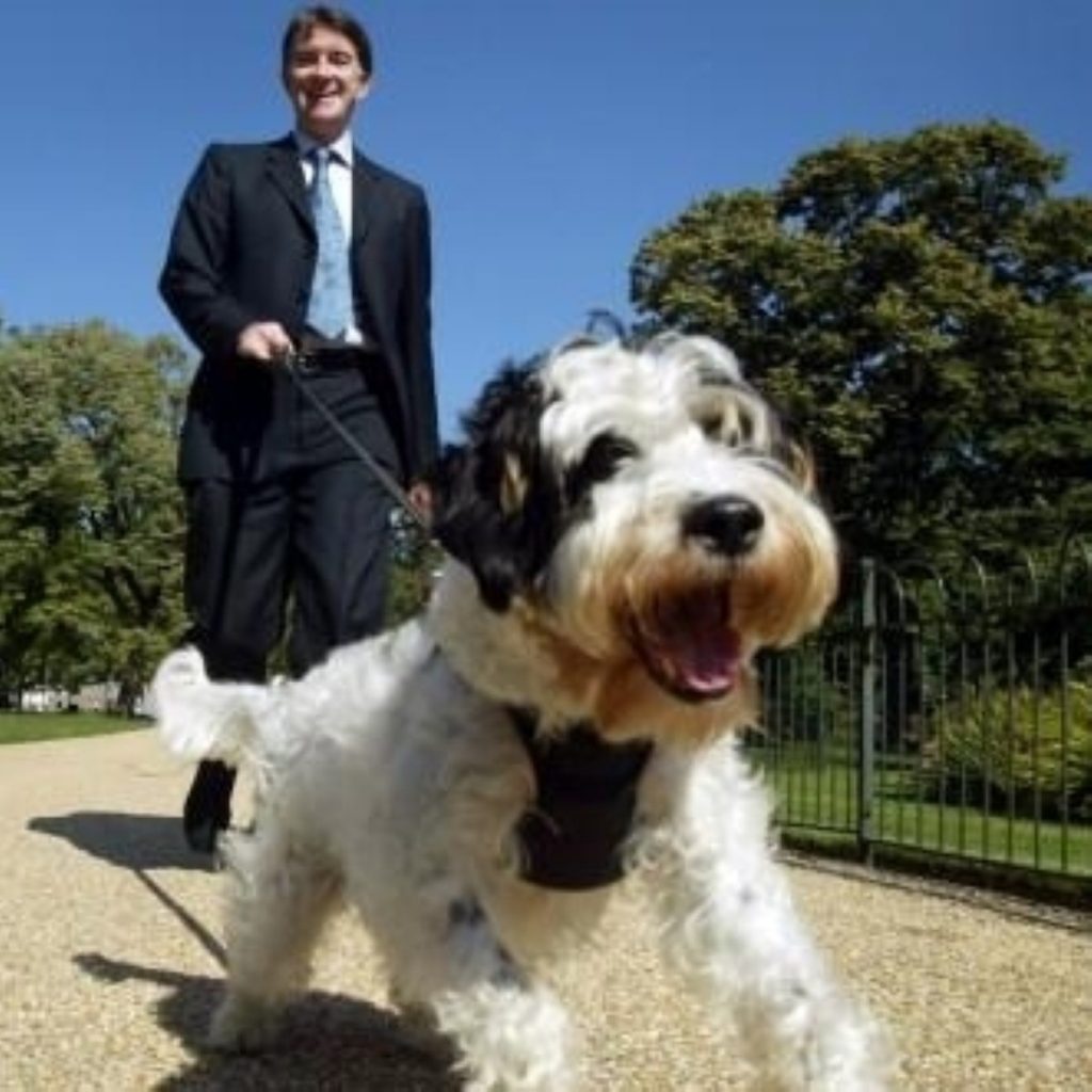 Mandelson's dog, Jack, was only mentioned once
