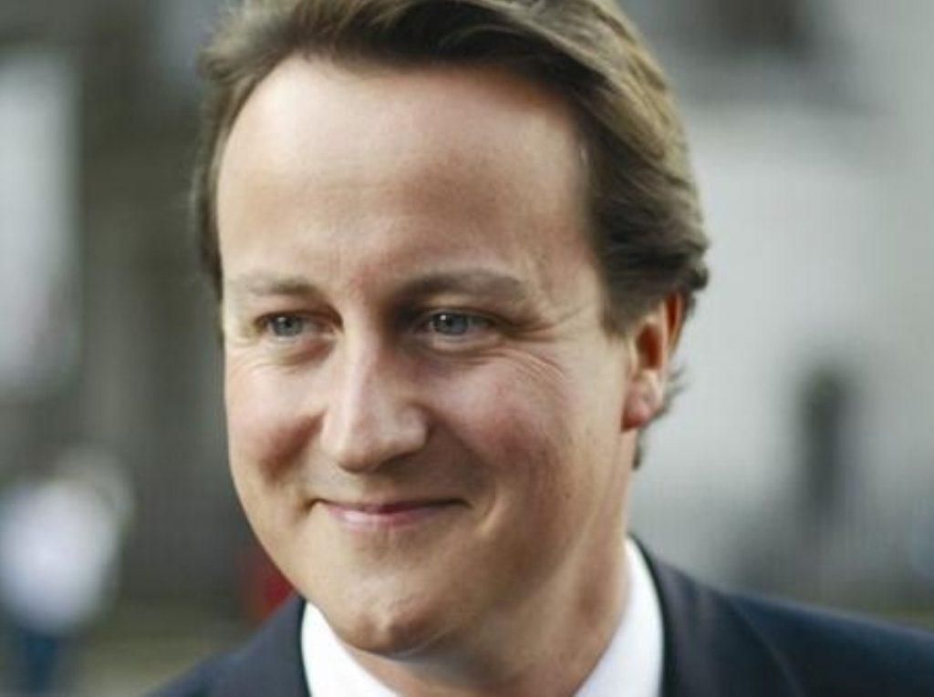 Happy days: Cameron's campaign looks back on track