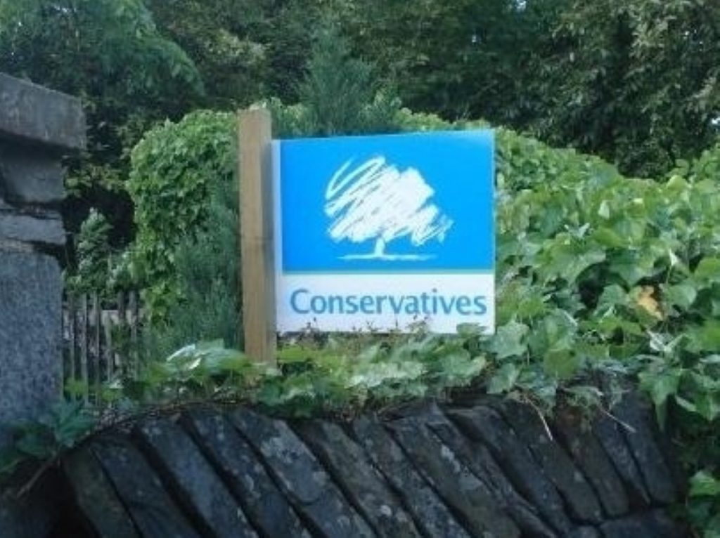 Tories reach out to Middle England