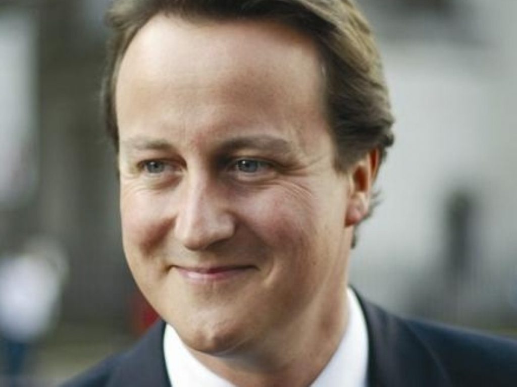 David Cameron has admitted his first gaffe of the campaign