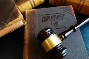 The Employment Rights Act 1996 - A Summary of What It Is About