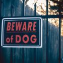 Dangerous Dogs