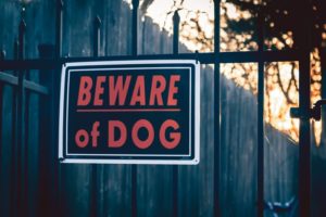 Dangerous Dogs