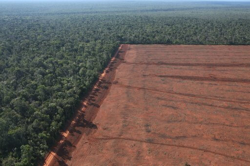 Leaders to pledge £14bn toward ending deforestation by 2030