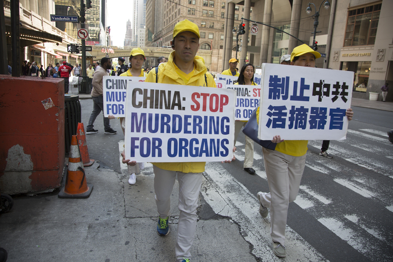 Report urges crackdown on China’s 'kill to order' organ harvesting trade